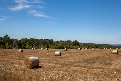 Hay bales on field against sky