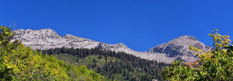 Scenic view of snowcapped mountains against clear blue sky