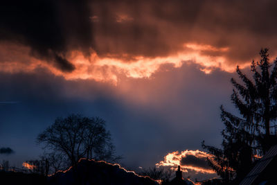 Silhouette of trees against dramatic sky