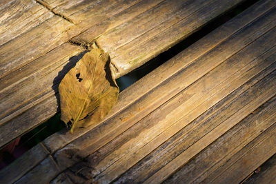 High angle view of wood on wooden table