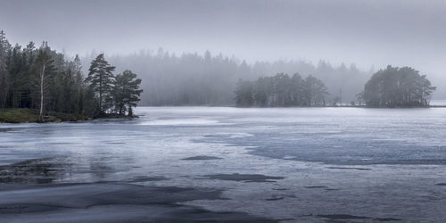 Scenic view of lake in forest during winter