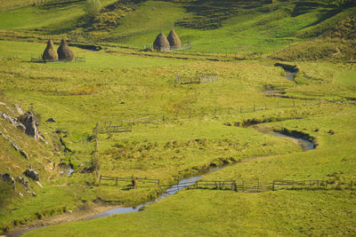 High angle view of agricultural field