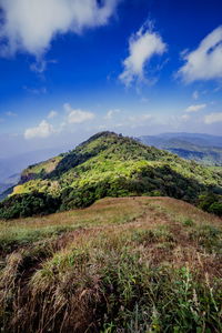 Scenic view of green landscape against sky