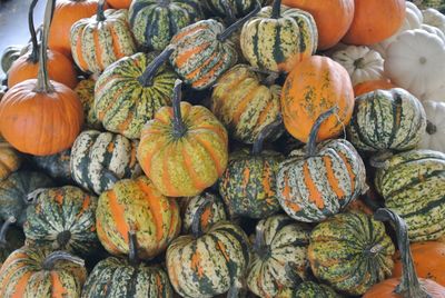 High angle view of pumpkins for sale at market stall