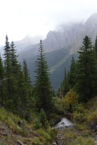 Scenic view of cloudy sky