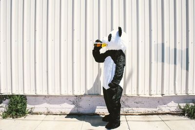 Person in panda costume drinking while standing on sidewalk