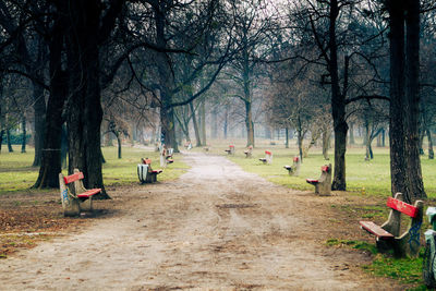 People in park