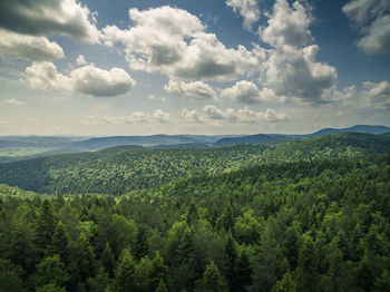 High angle view of trees against sky