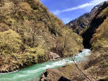 Scenic view of river stream amidst trees against sky