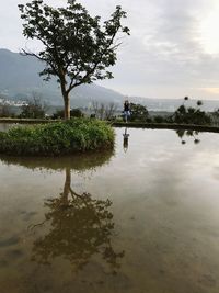 Scenic view of lake against sky