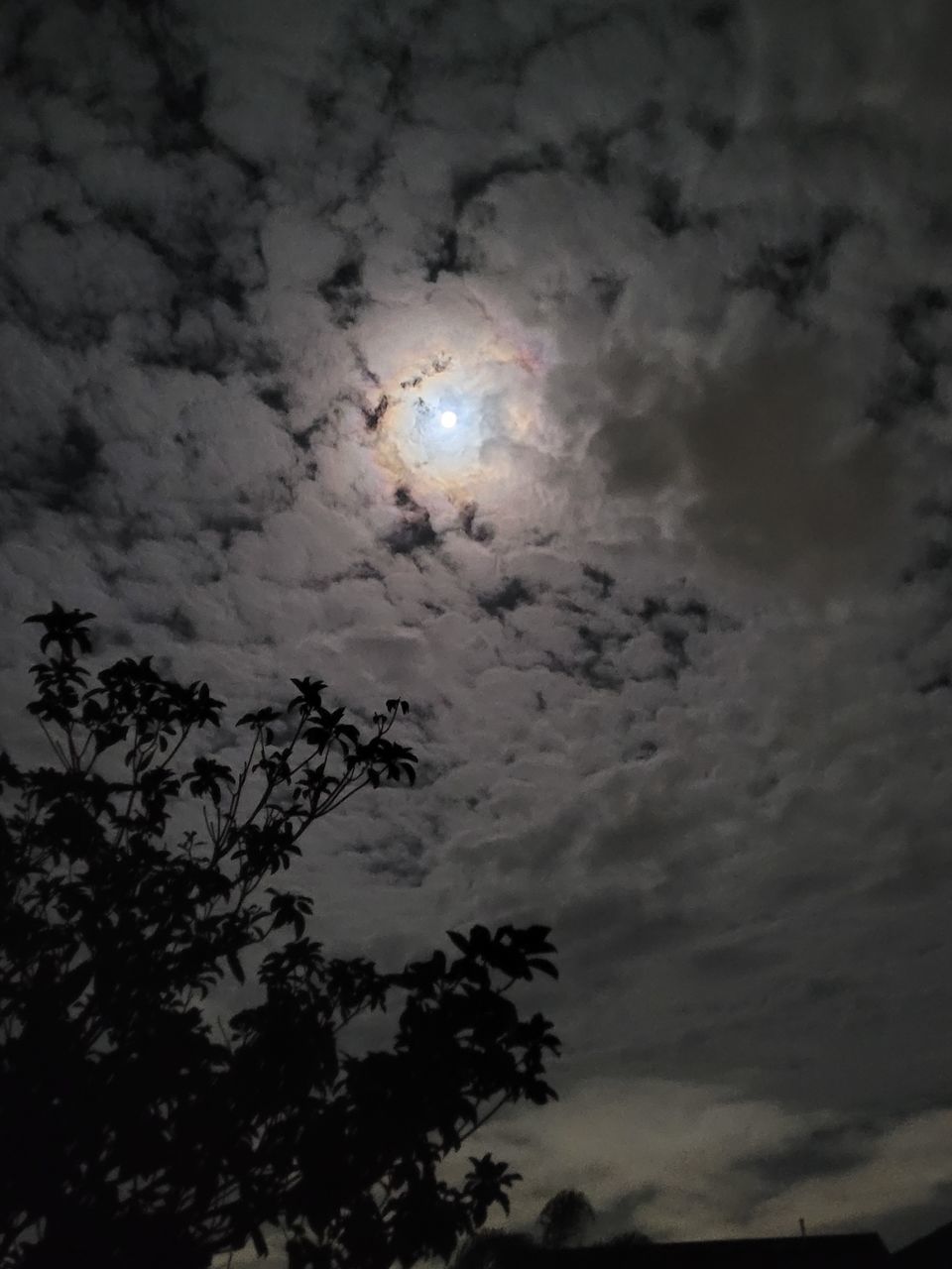 sky, darkness, cloud, moon, night, nature, low angle view, no people, outdoors, tree, beauty in nature, space, illuminated, moonlight, light, full moon