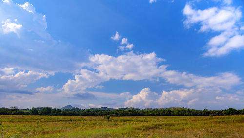 Scenic view of agricultural field against sky