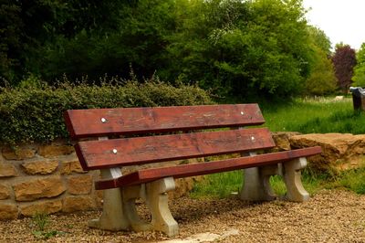 Bench against trees