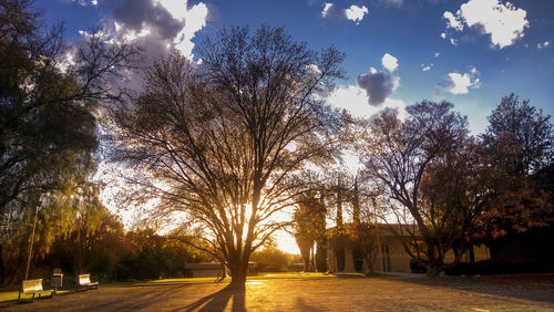 Road amidst bare trees against sky