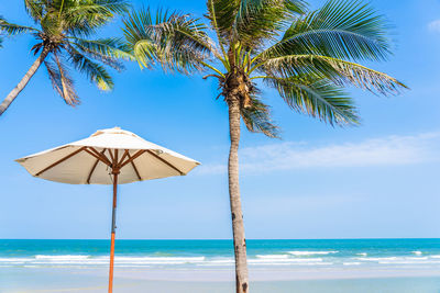 Coconut palm trees on beach against sky