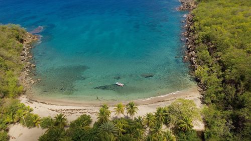 High angle view of plants on beach