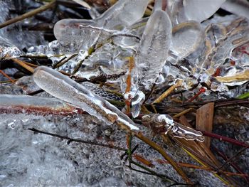 Close up of snow