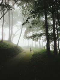 Man walking in forest