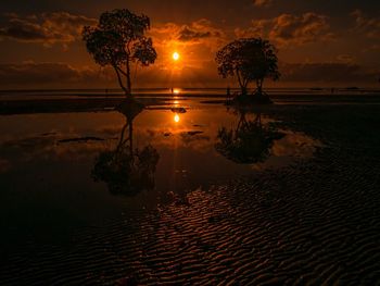 Silhouette trees on beach against sky during sunset