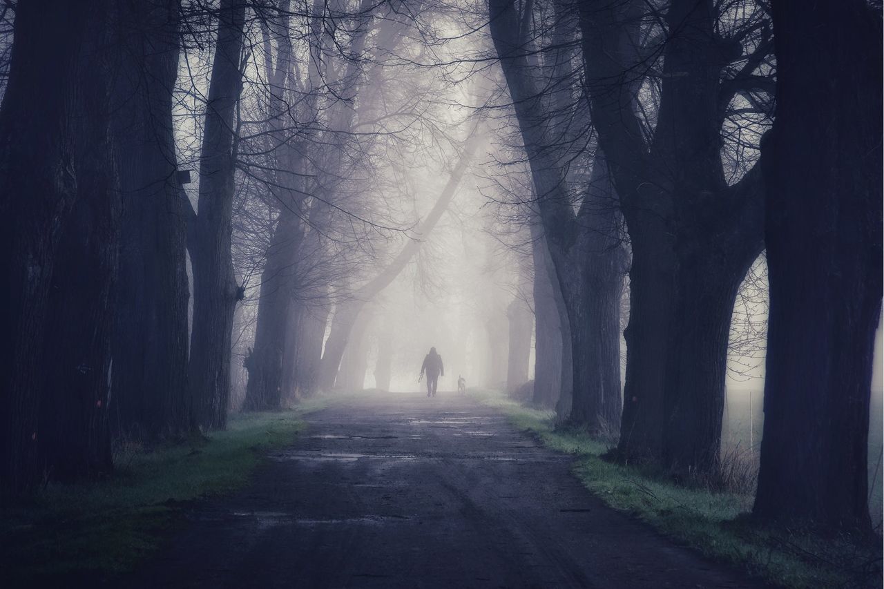 MAN WALKING ON ROAD ALONG TREES