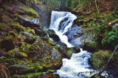 Scenic view of waterfall in forest