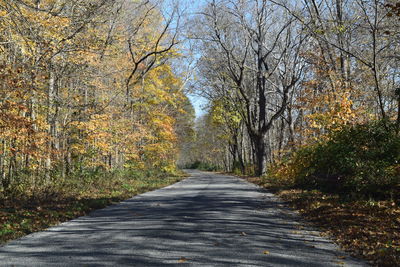 Dirt road amidst trees against sky