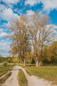 Road amidst plants and trees against sky