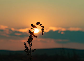 Scenic view of sunset