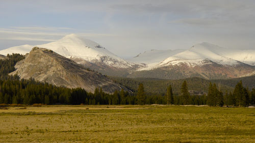 Scenic view of landscape against sky