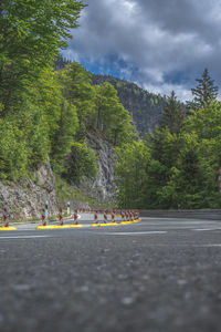 Surface level of road by trees against sky