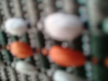 Close-up of orange fruits on tree