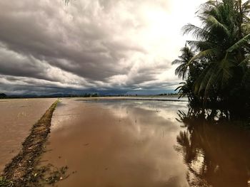 Scenic view of sea against sky