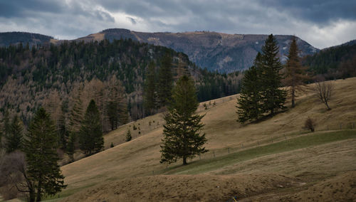 Scenic view of landscape and mountains against sky