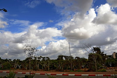 Panoramic view of trees and buildings against sky