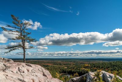 Scenic view of landscape against blue sky