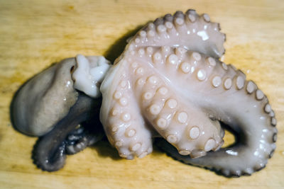 High angle view of ice cream in plate