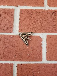 Close-up of brick wall