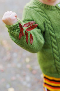 Close-up of leaf during autumn