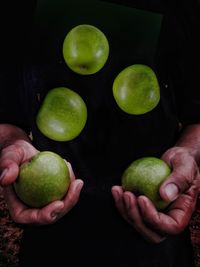 Close-up of hand holding apples