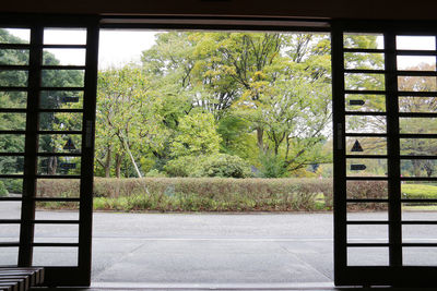 Trees seen through window