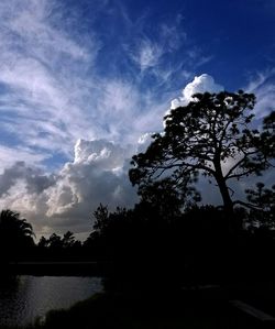 Silhouette trees against sky during sunset