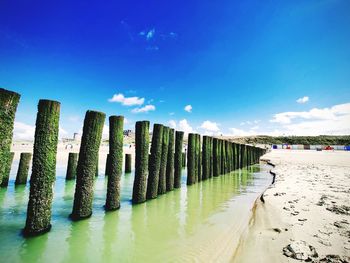 Wooden posts on beach against sky