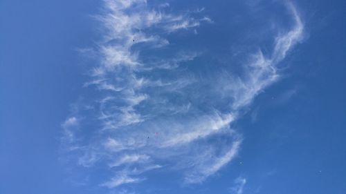 Low angle view of trees against blue sky