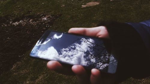 Reflection of trees in puddle