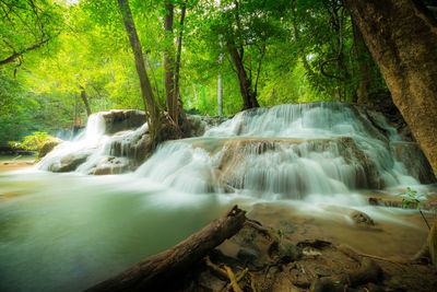 Waterfall in forest