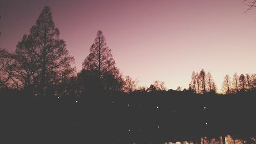 Low angle view of trees against sky