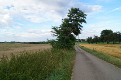 Road passing through grassy field