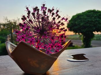 Close-up of christmas decorations on table