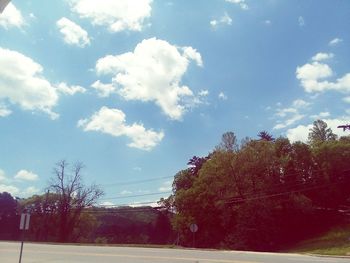 Trees on field against sky