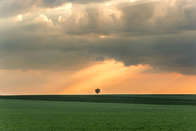 Scenic view of field against cloudy sky during sunset